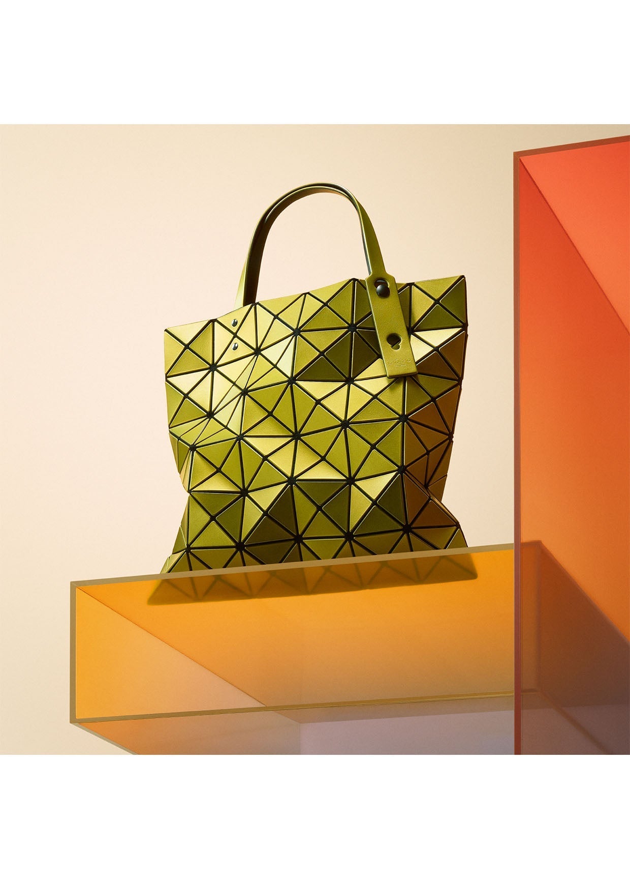 Bao store Bao Issey Miyake document case - limited edition