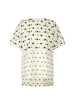DOT AND SQUARE