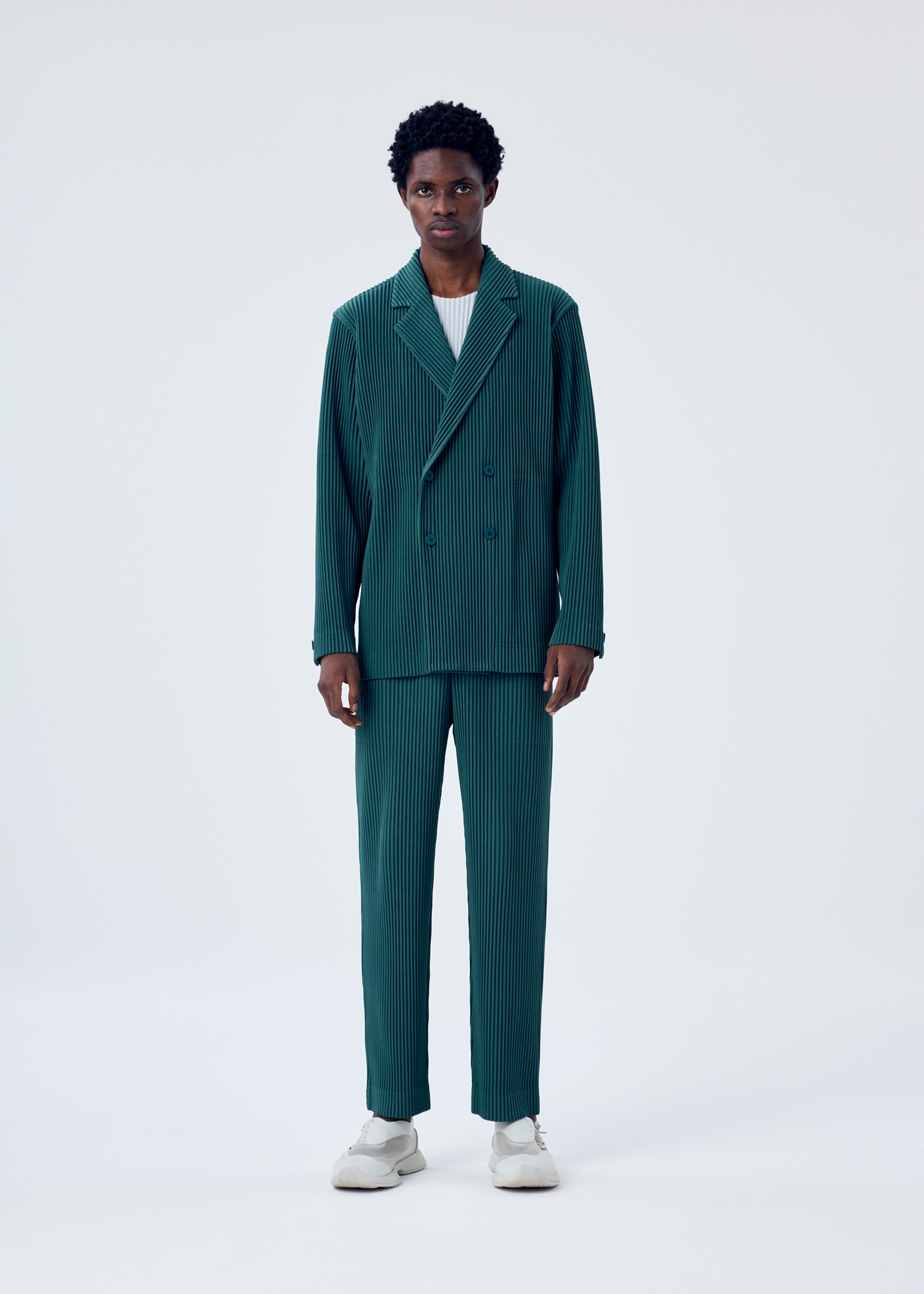Zoomed view TAILORED PLEATS 1