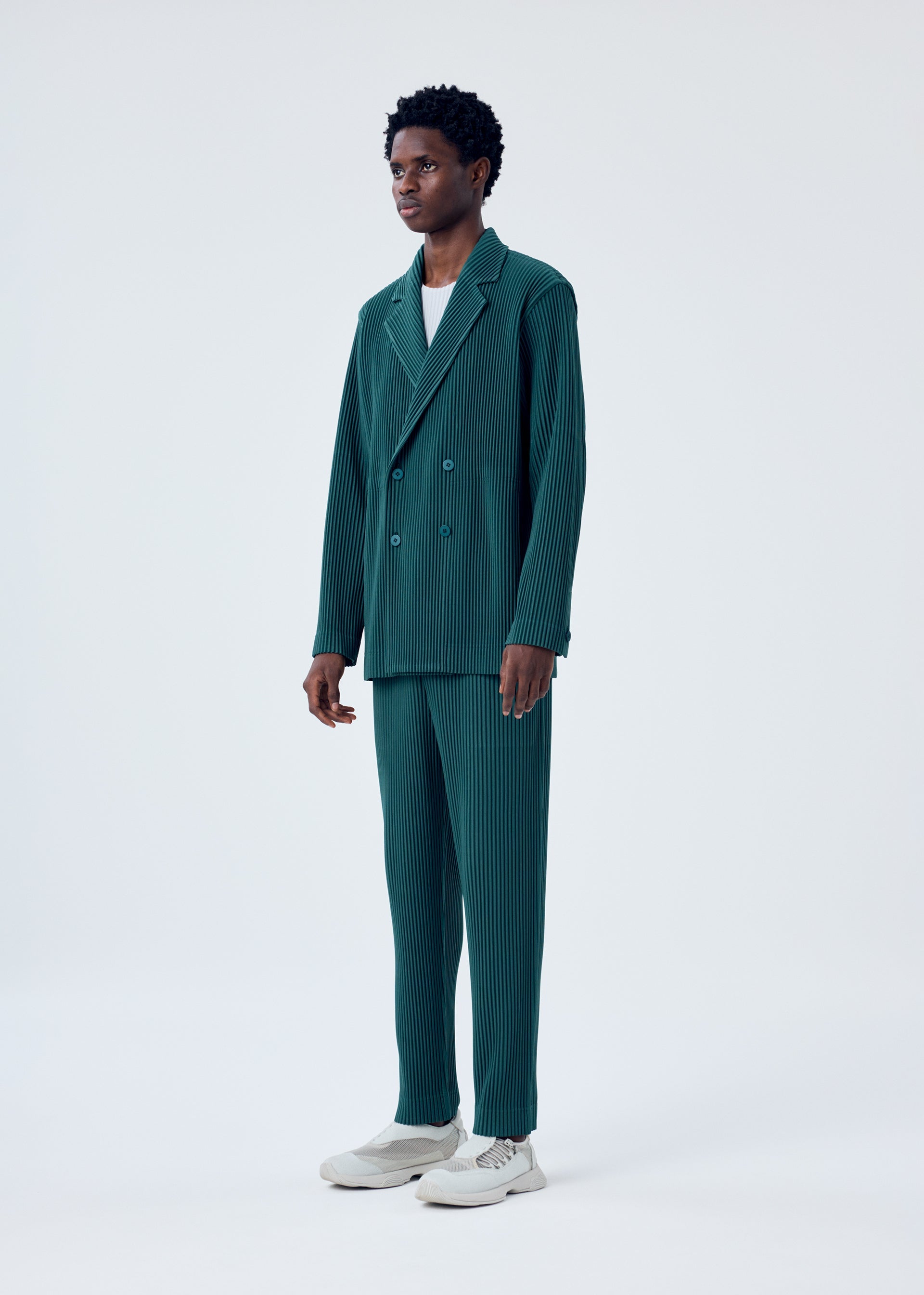 Zoomed view TAILORED PLEATS 1