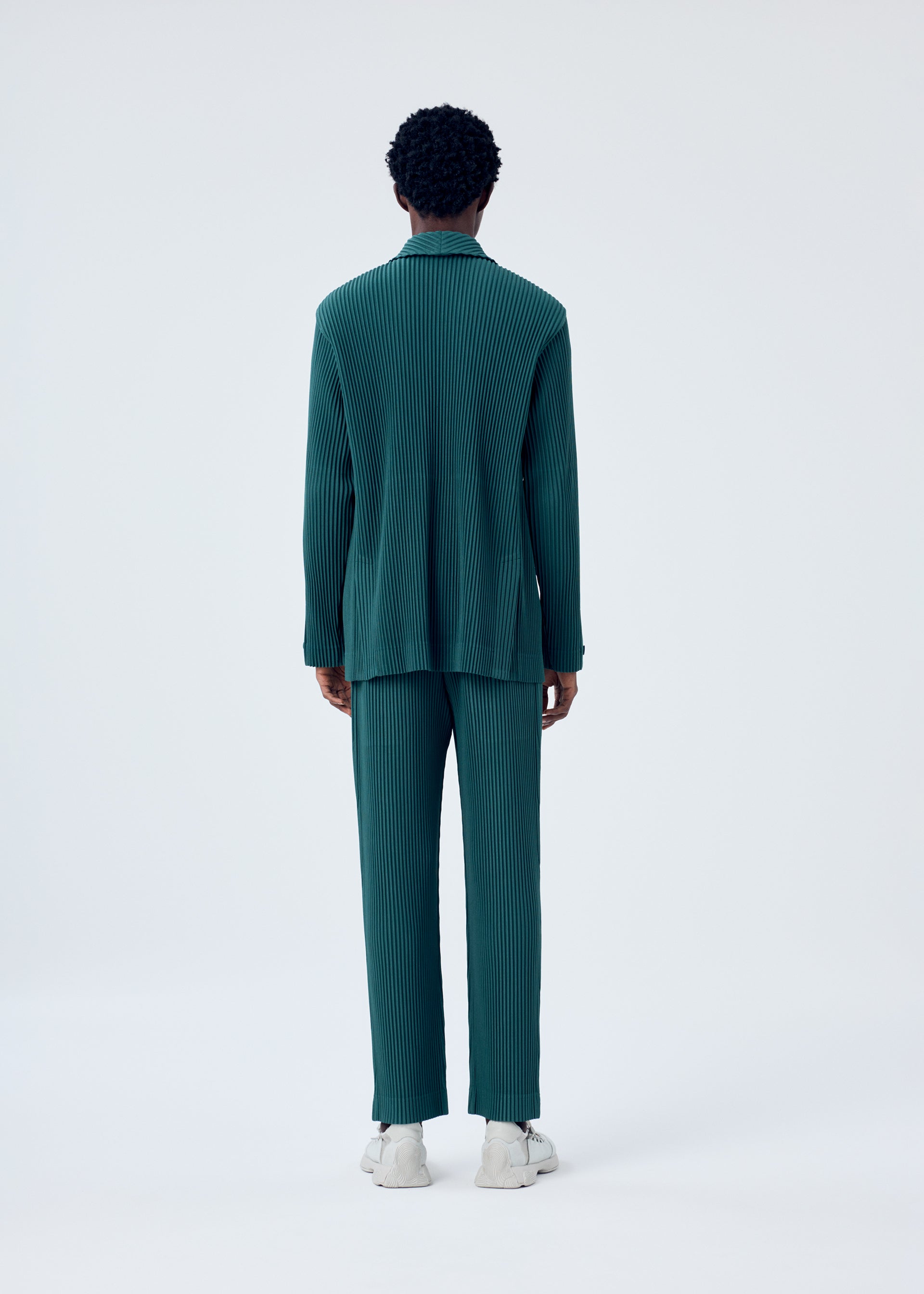 Zoomed view TAILORED PLEATS 1