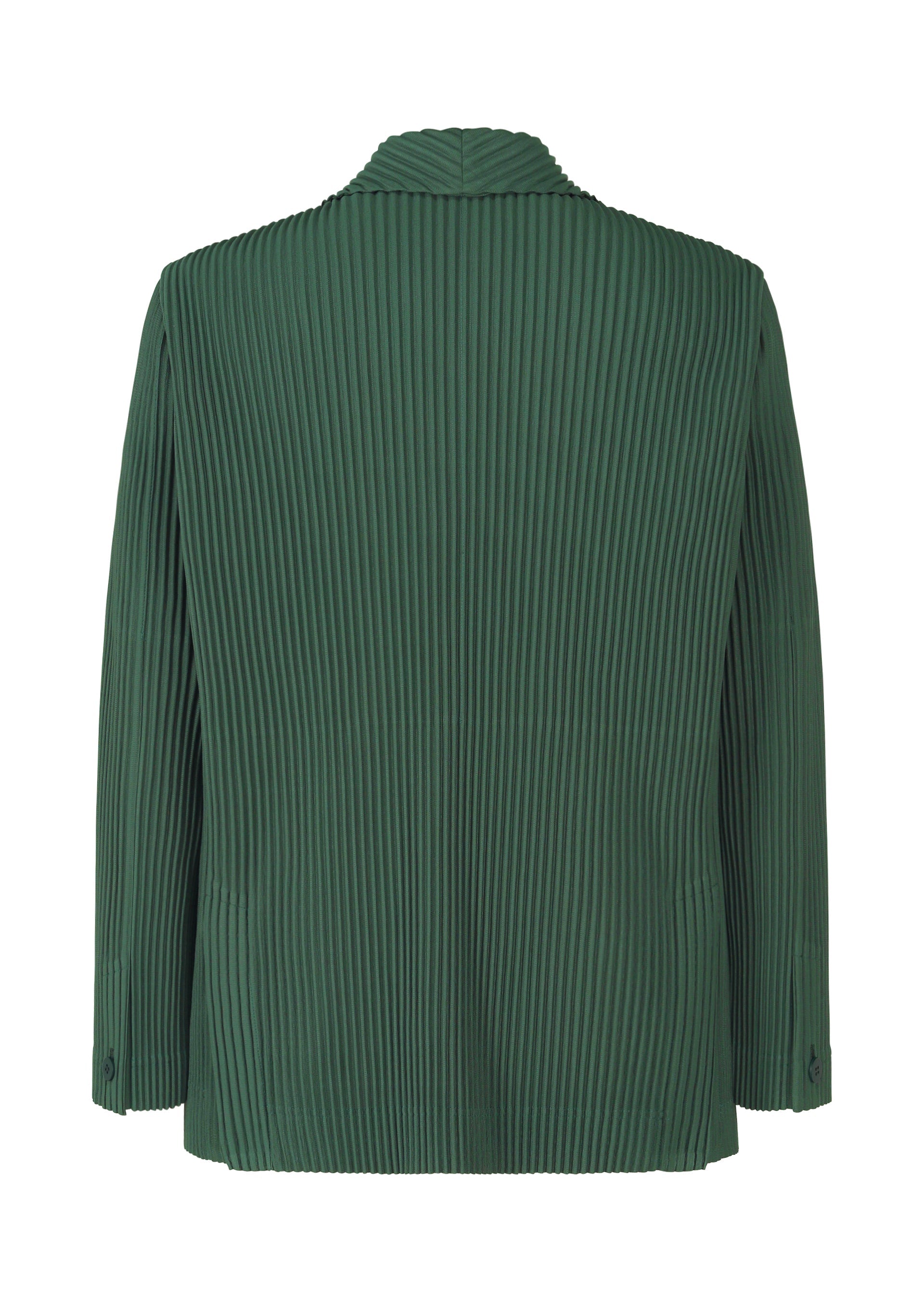 Zoomed view TAILORED PLEATS 1