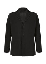 TAILORED PLEATS 2