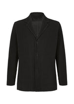 TAILORED PLEATS 2