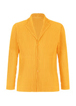 OUTER MESH