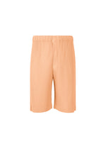 COLOR PLEATS