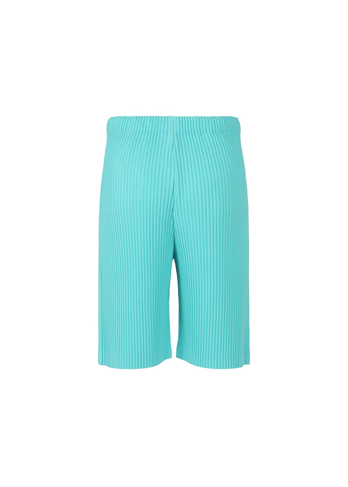 COLOR PLEATS view 5 of 9