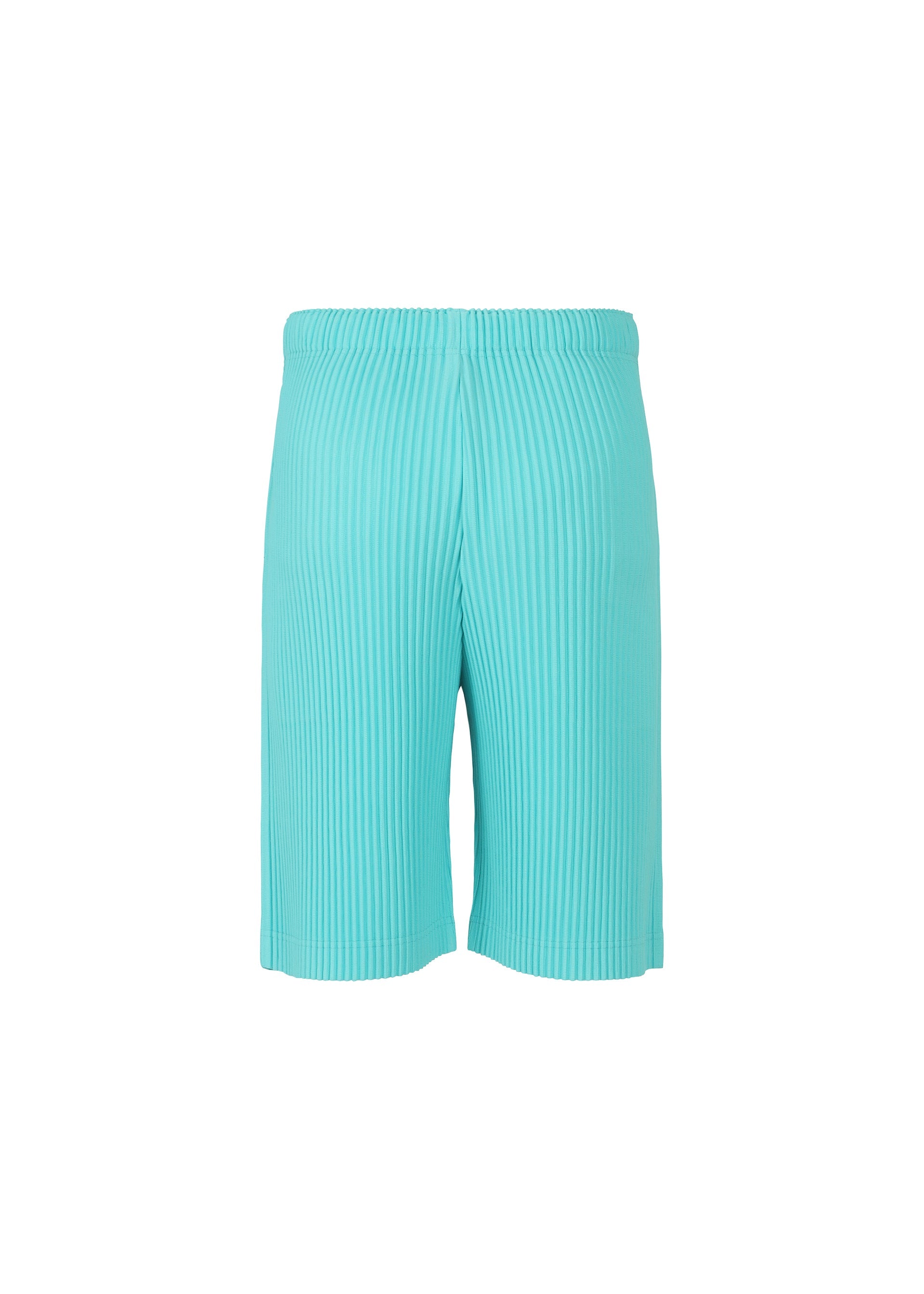 Zoomed view COLOR PLEATS