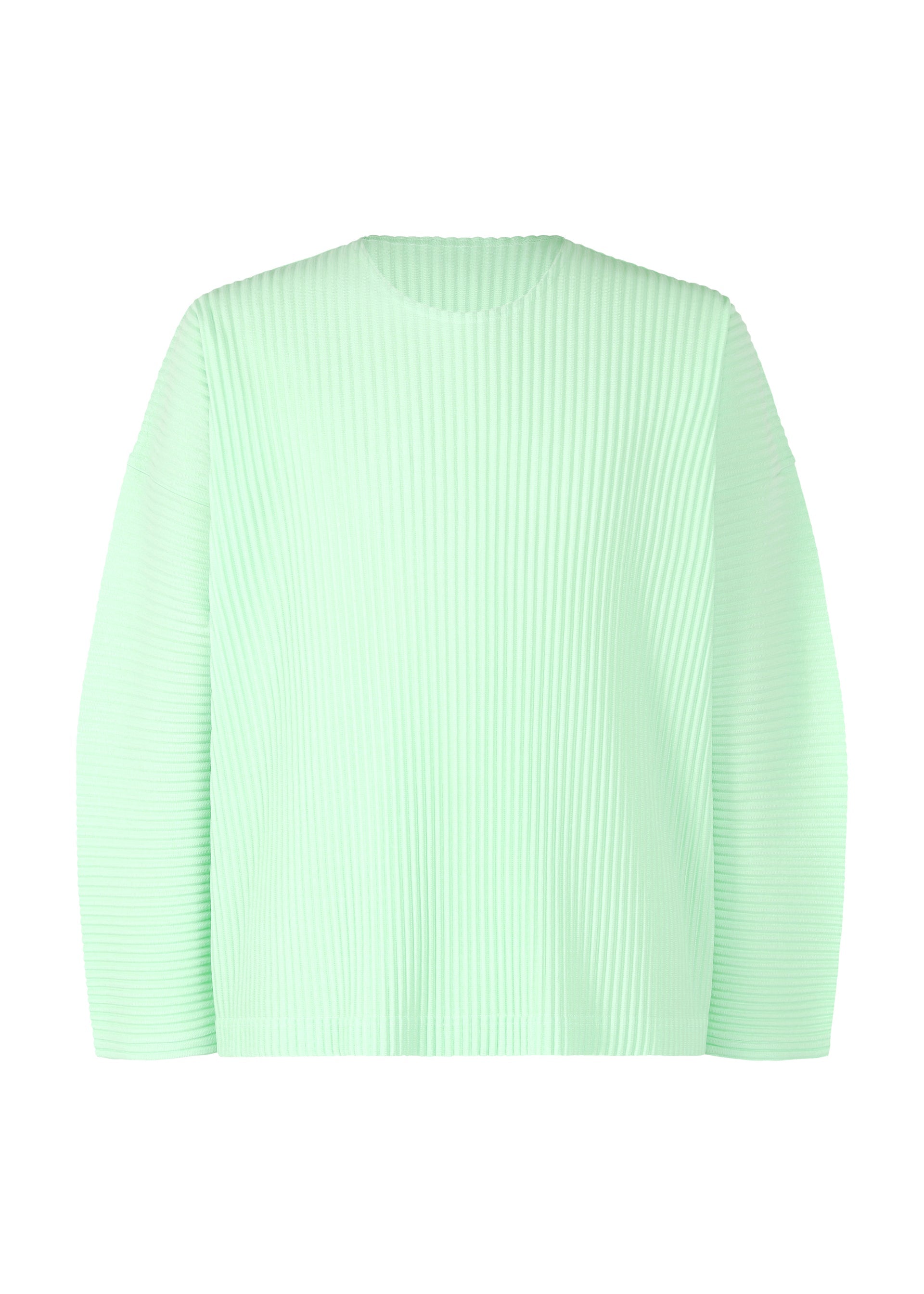 Zoomed view MONTHLY COLOR JANUARY - MINT GREEN(no.60)