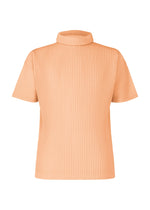 COLOR PLEATS