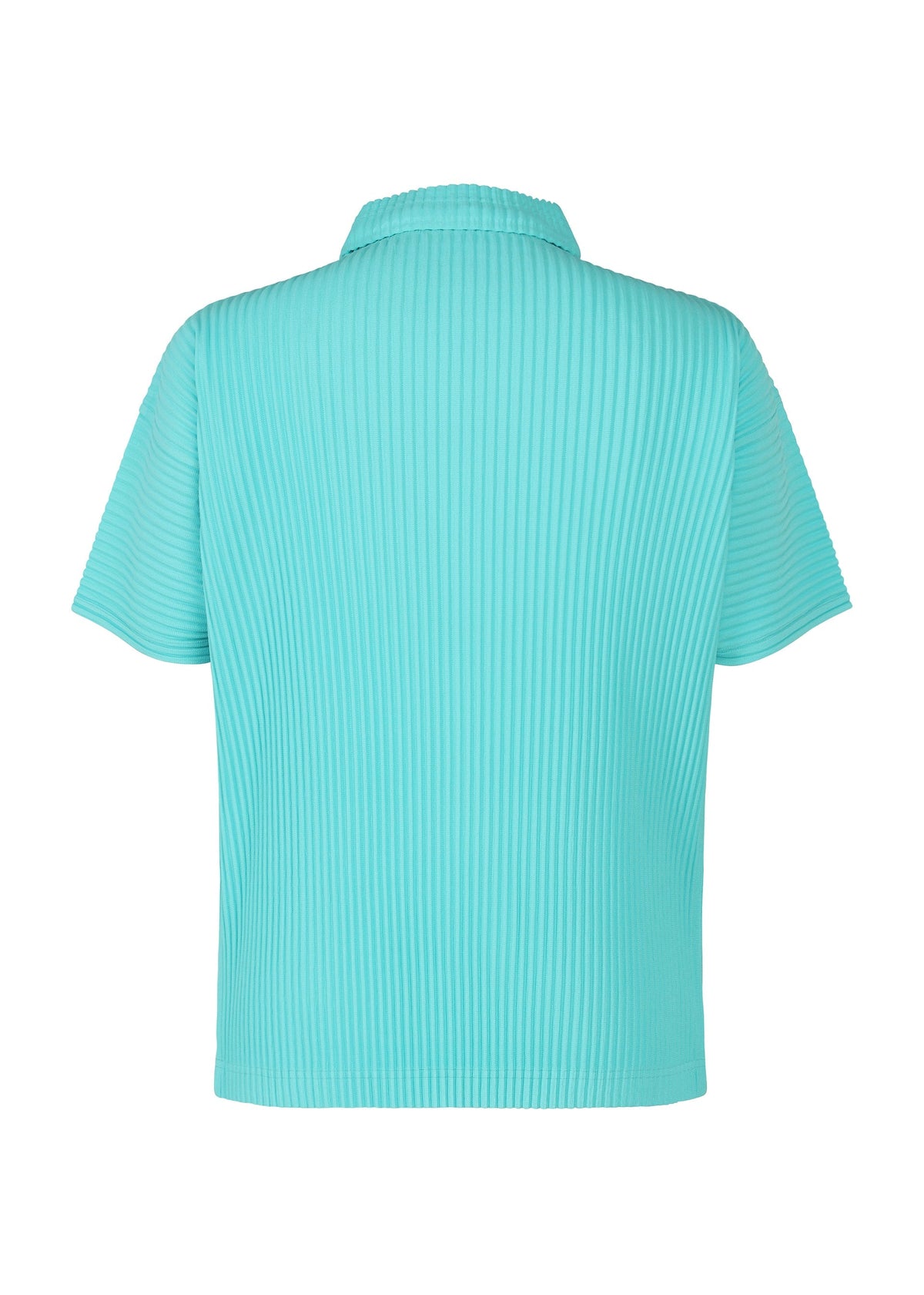 COLOR PLEATS view 5 of 9