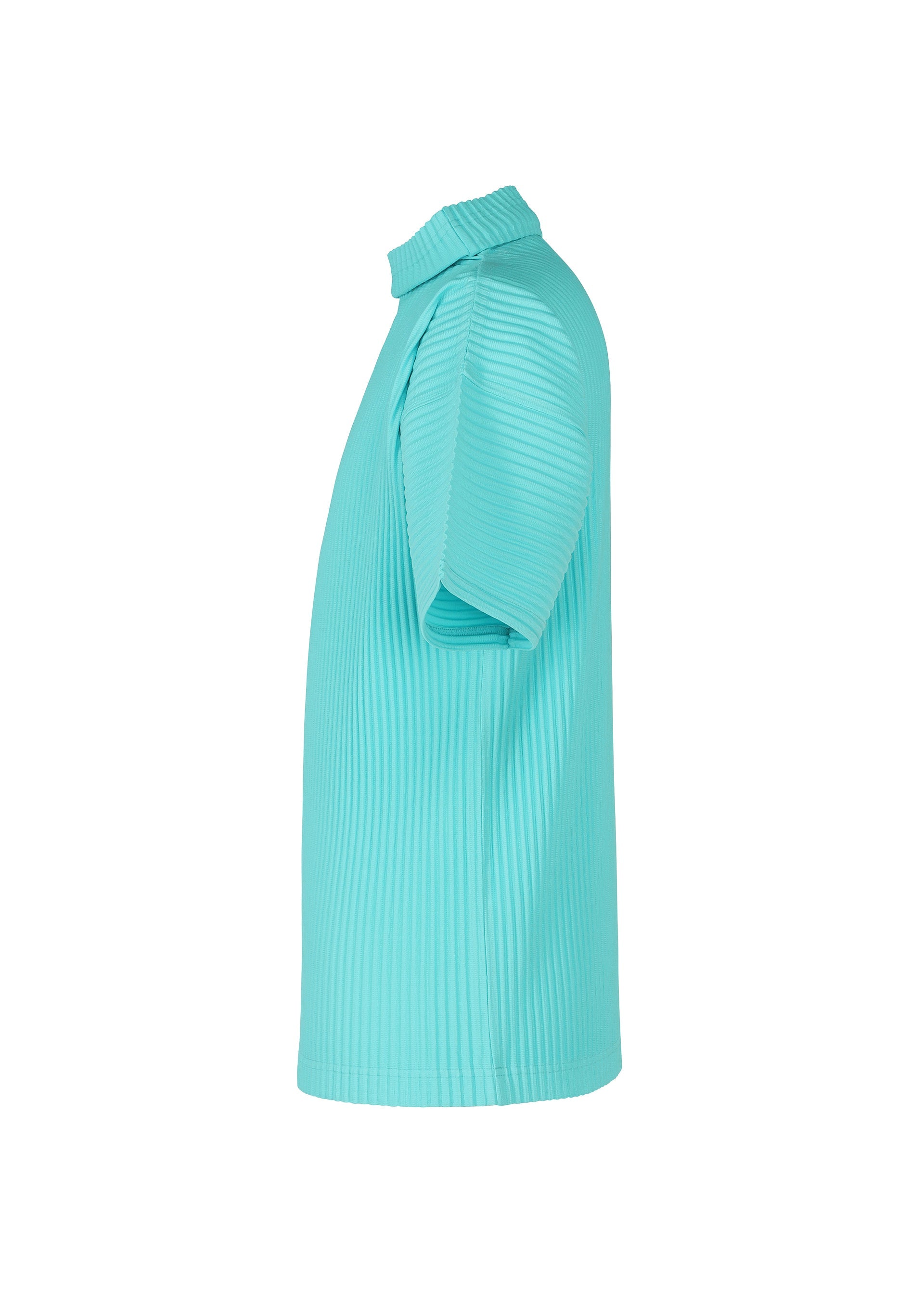 Zoomed view COLOR PLEATS
