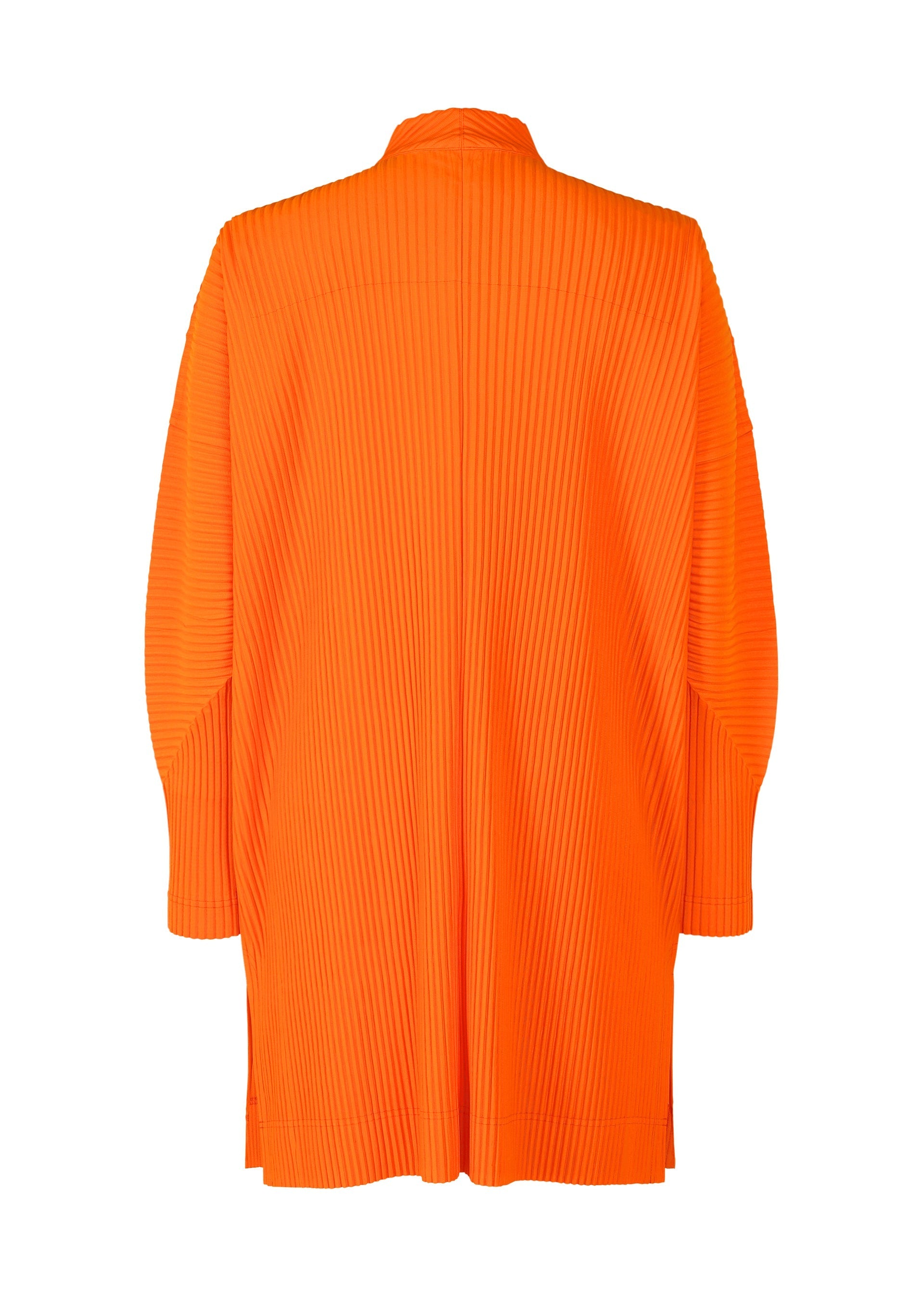 Zoomed view MONTHLY COLOR FEBRUARY