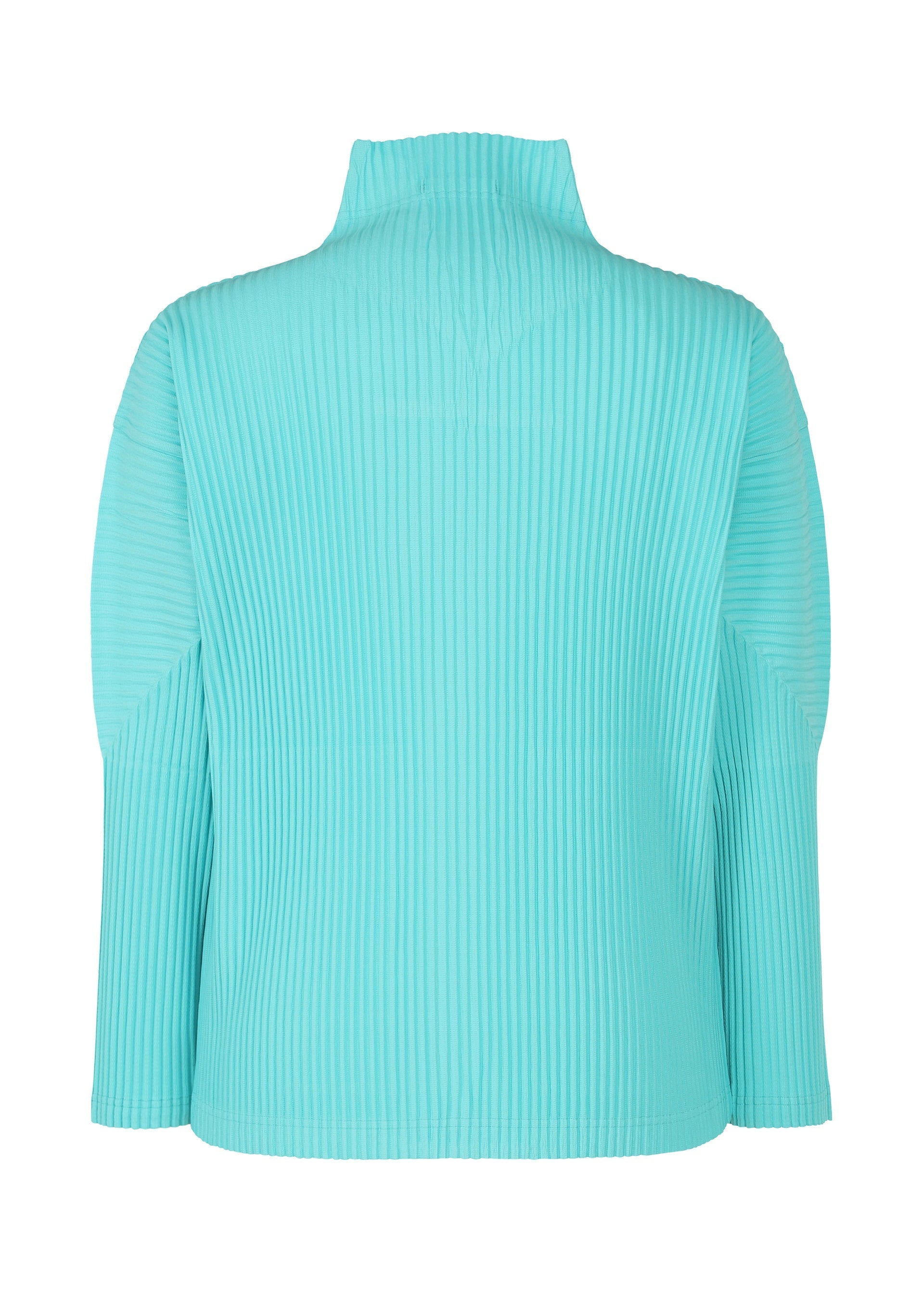 Zoomed view COLOR PLEATS