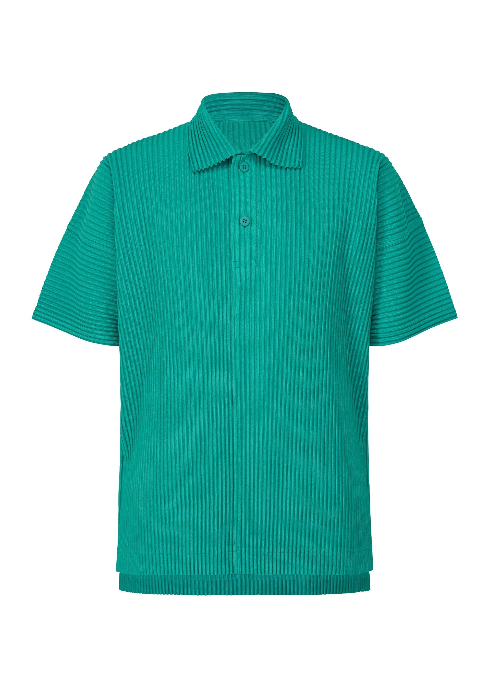 Zoomed view MONTHLY COLOR MAY - PEACOCK GREEN(no.69)