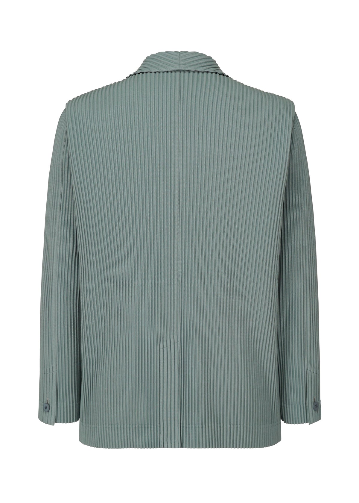 TAILORED PLEATS 1 view 3 of 6