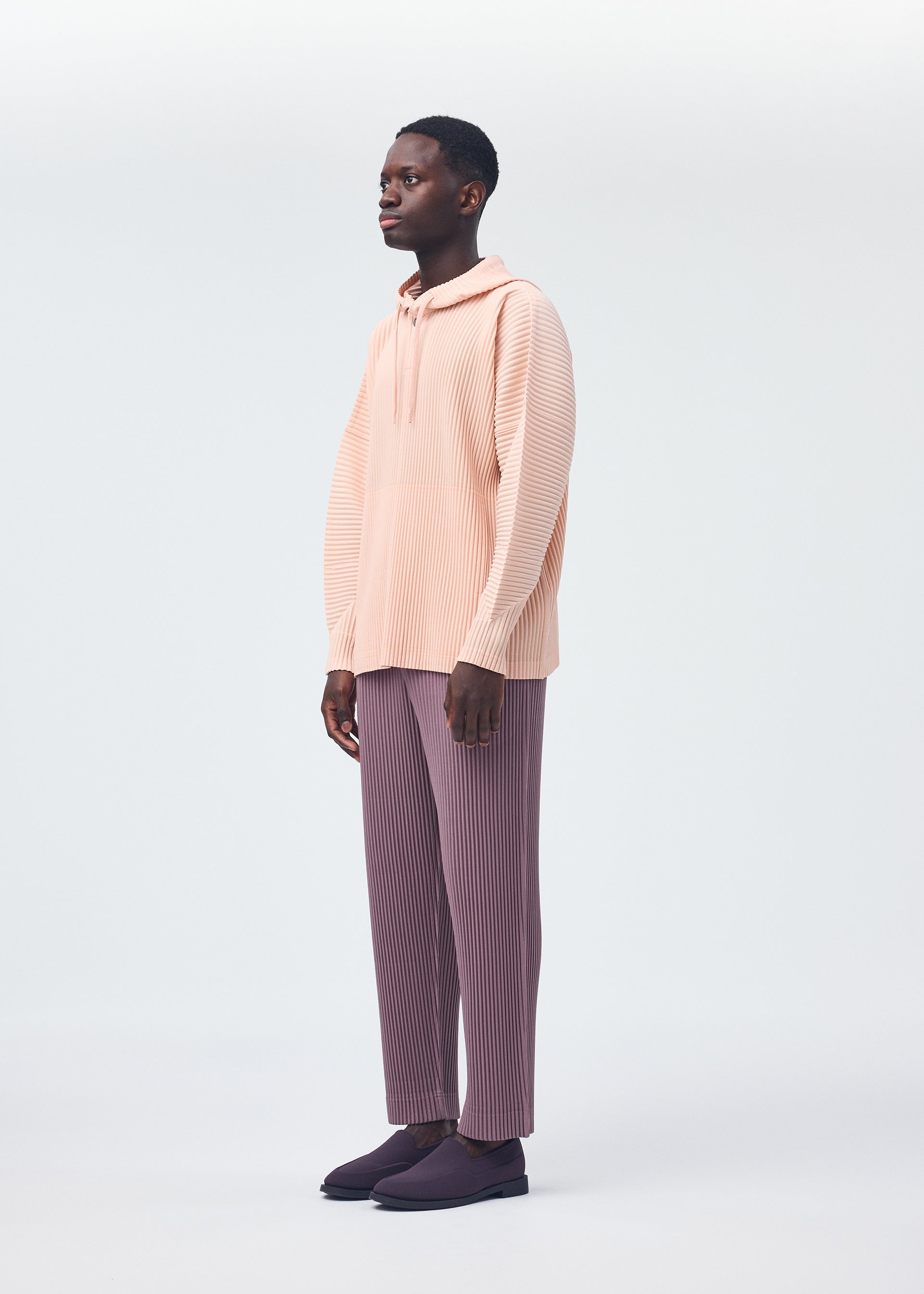 COLOR PLEATS