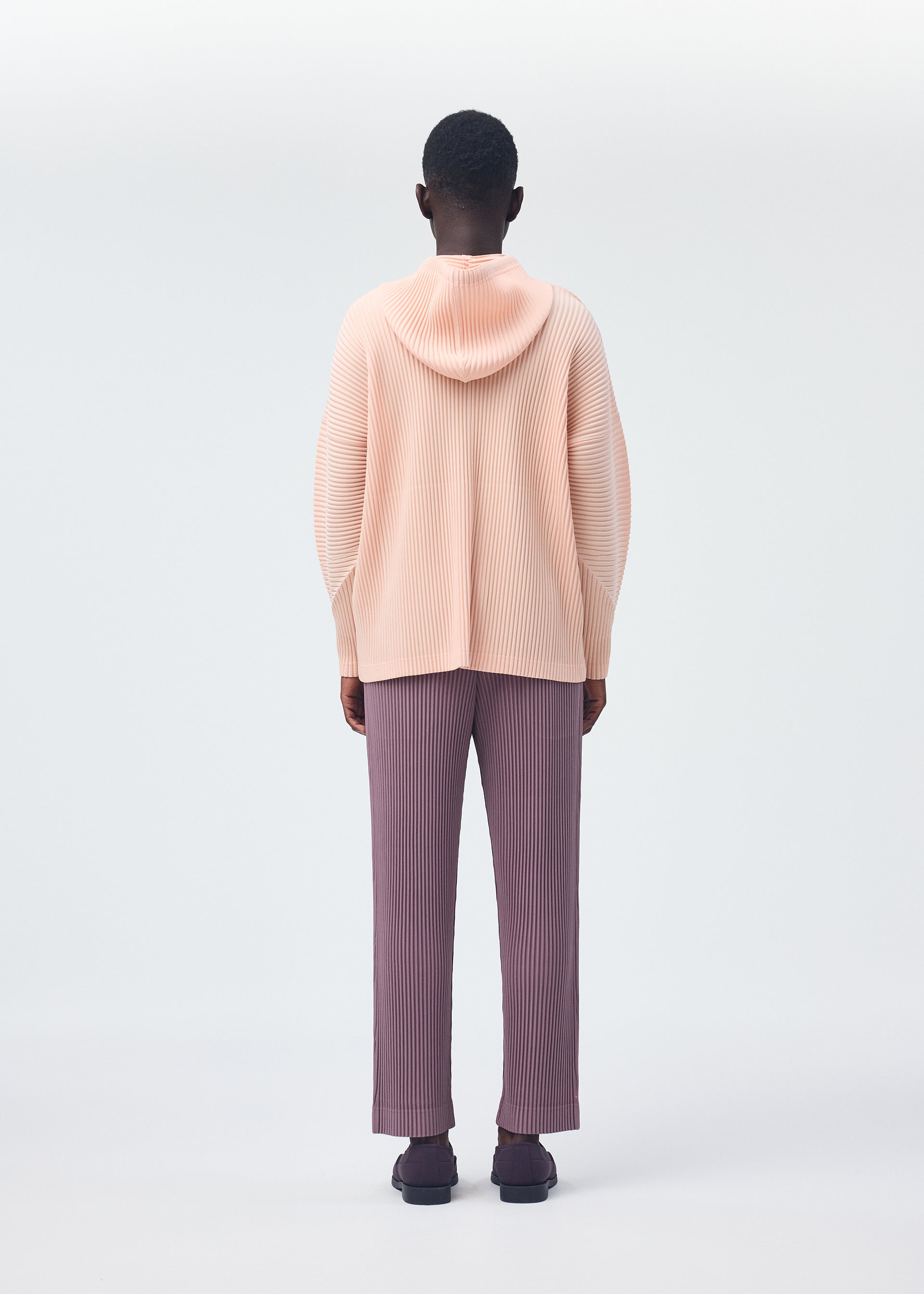 COLOR PLEATS
