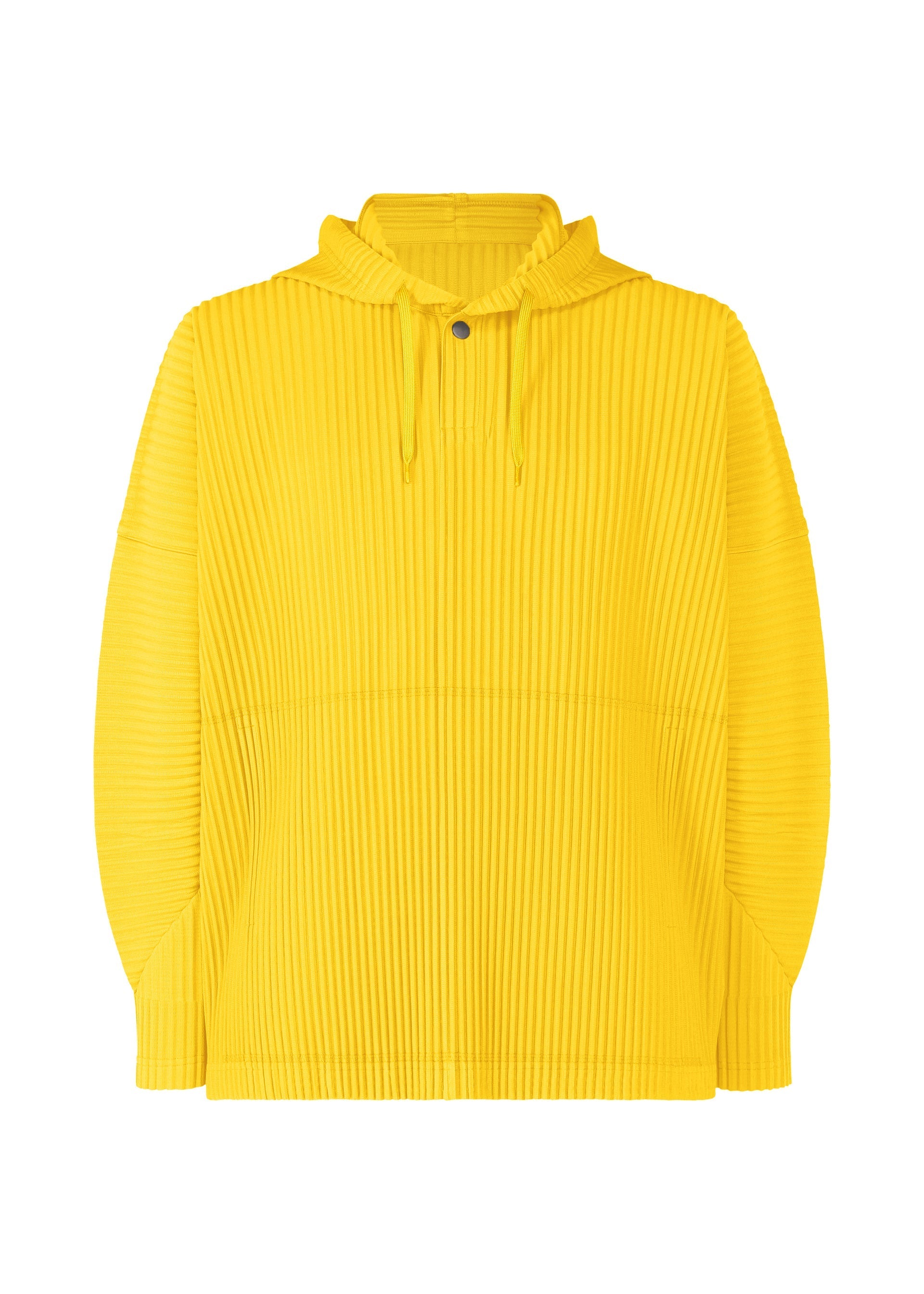 COLOR PLEATS