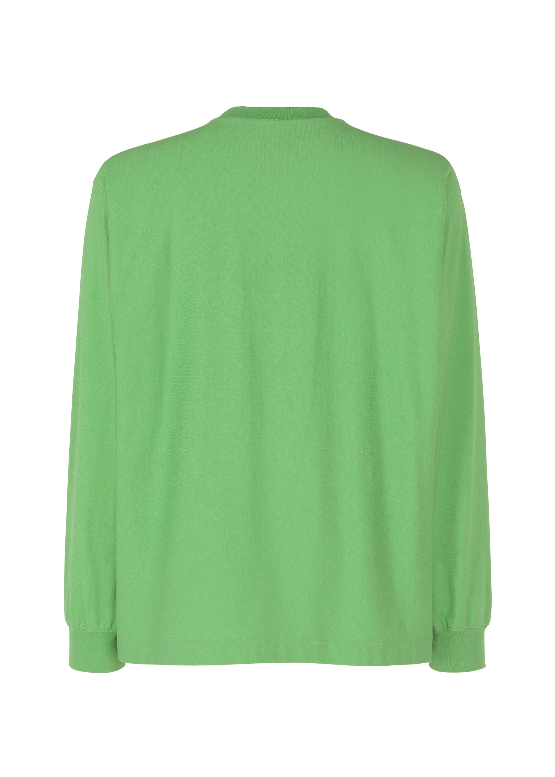 Zoomed view RELEASE-T 1