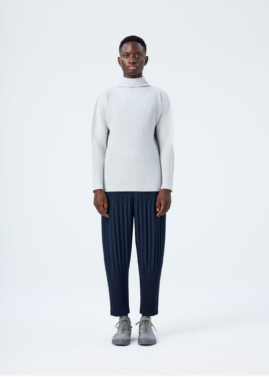 BASICS view 2