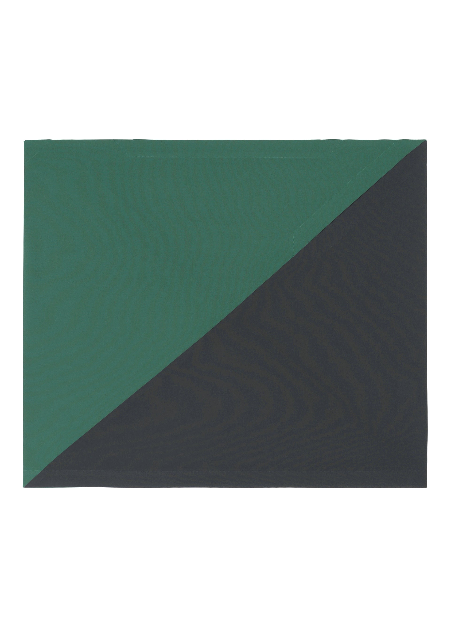 Zoomed view FLAT T BI COLOR