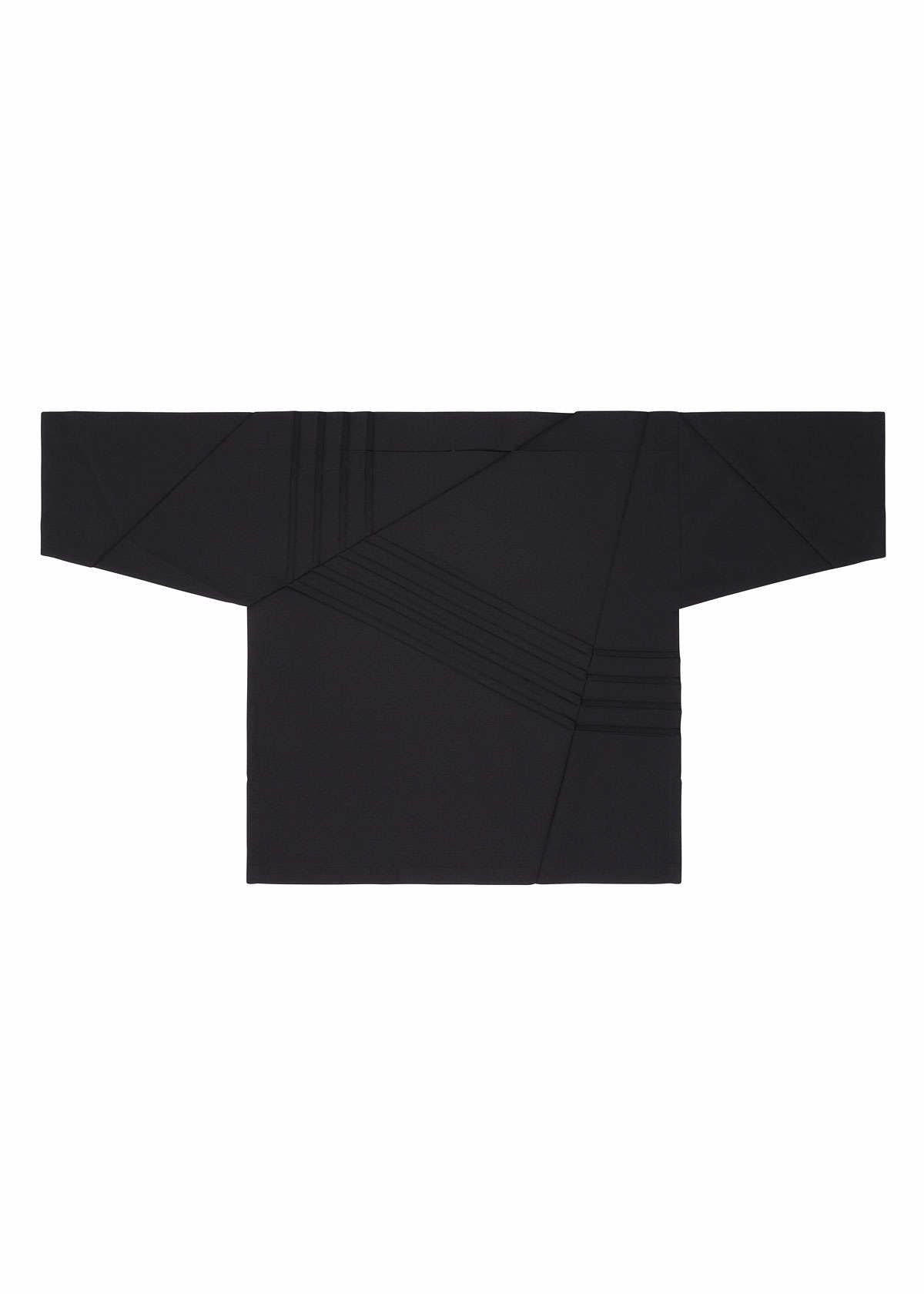Zoomed view PLEATS T BASIC