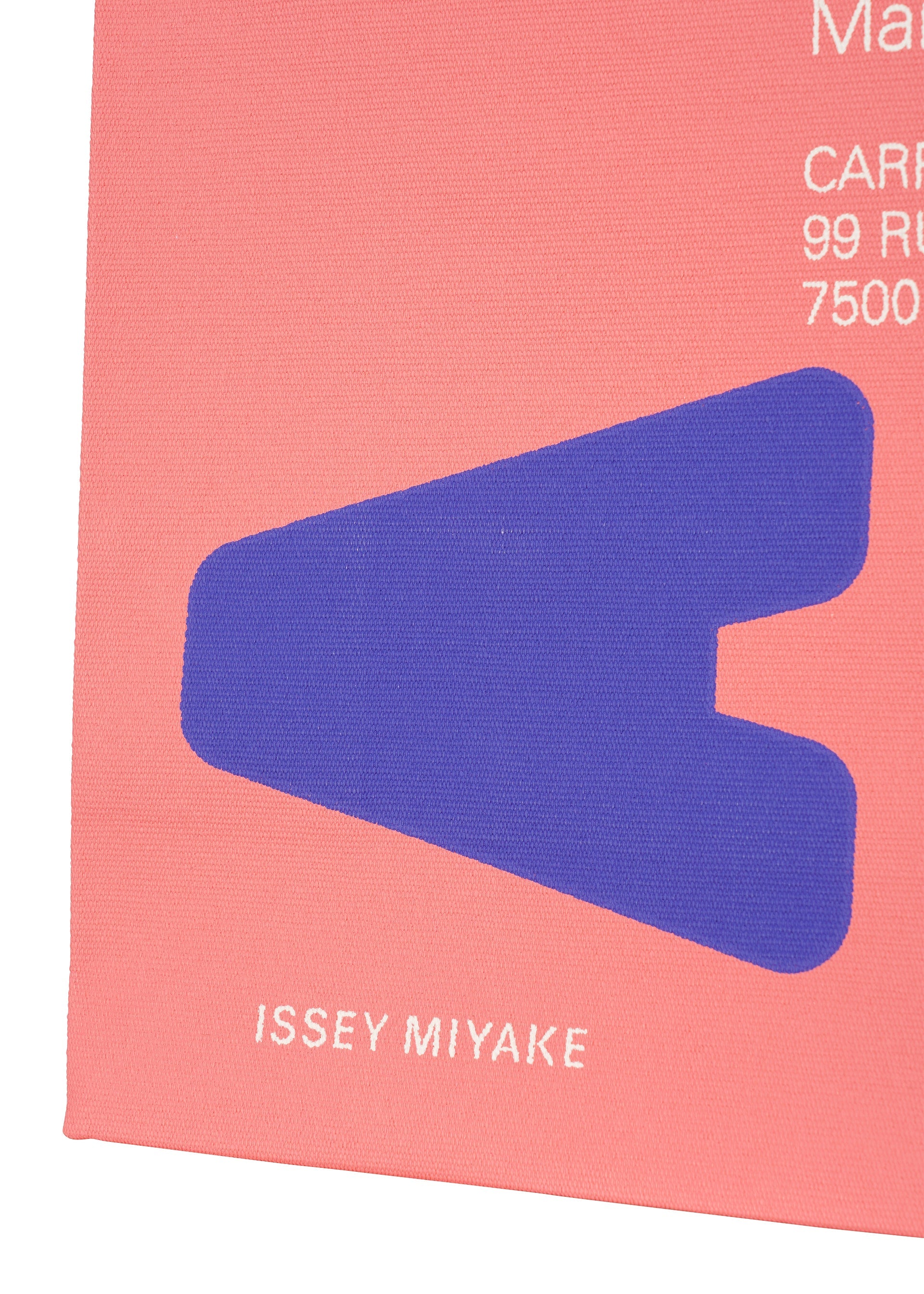 THIS IS A PAPER BAG (POSTER)