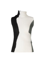 ABSTRACT TINT PLEATS