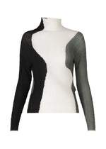 ABSTRACT TINT PLEATS