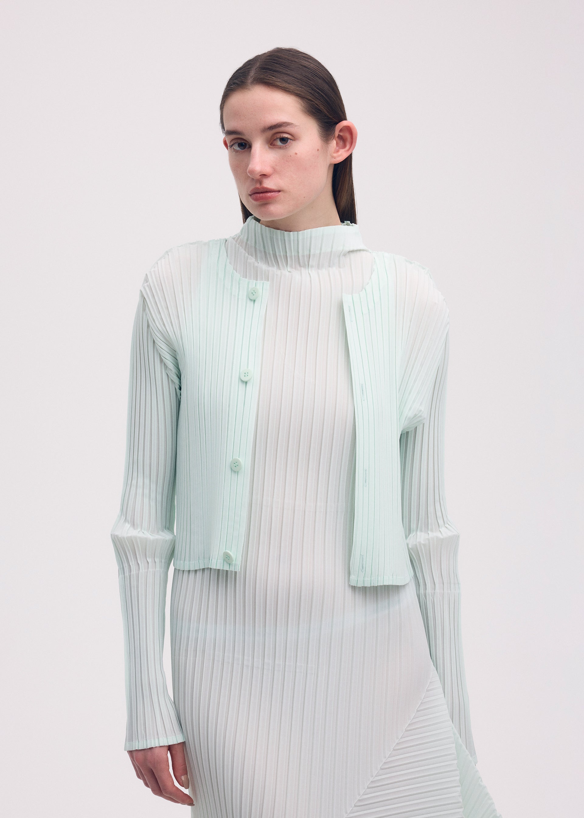 Zoomed view FOLD PLEATS