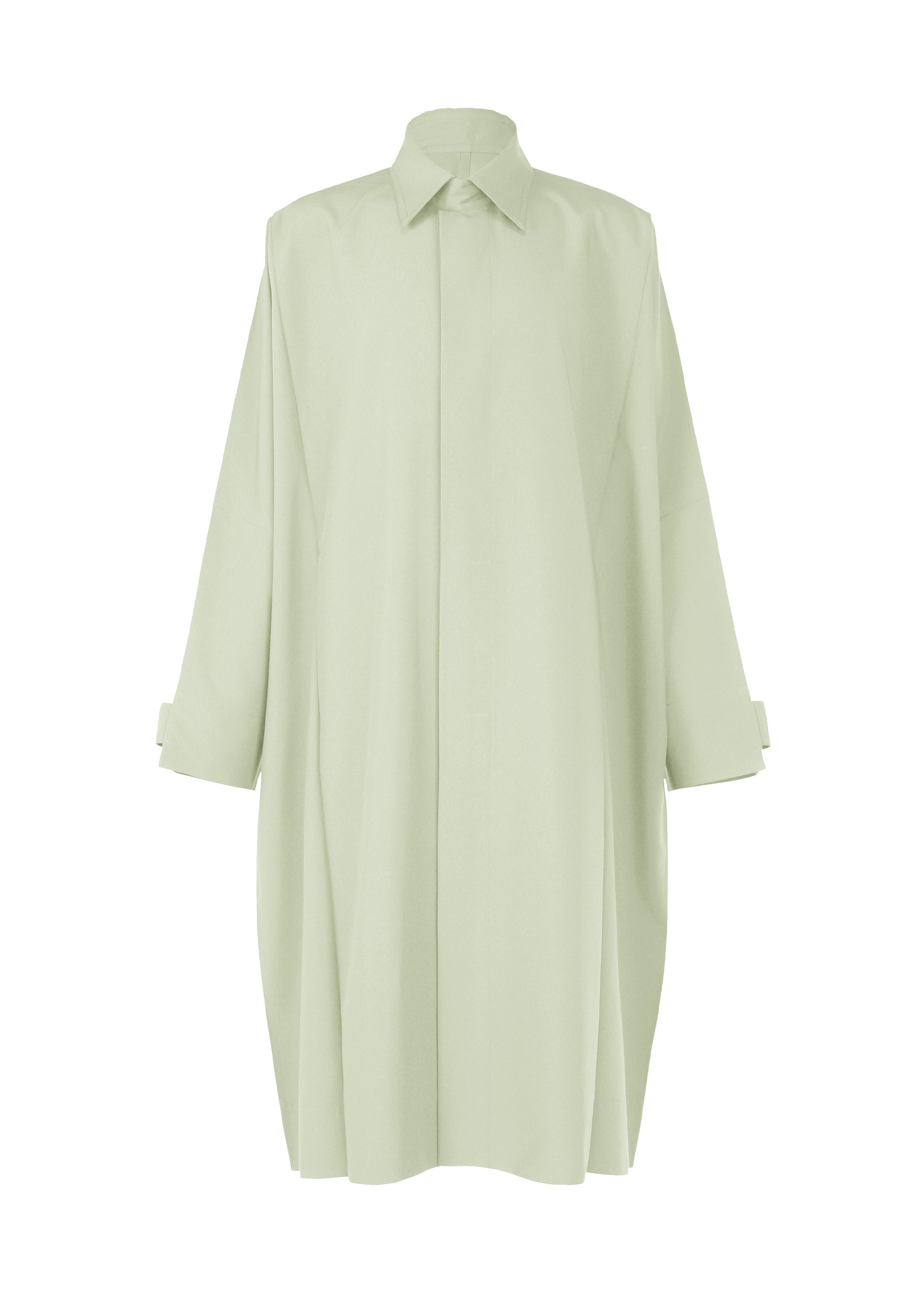 Zoomed view FLAT - SAGE GREEN(no.66)