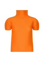STRETCH PLEATS 5