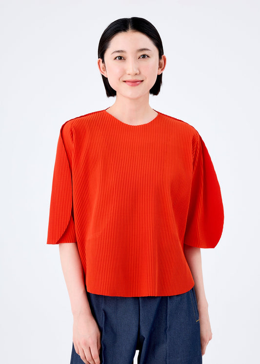 DOT PLEATS view 2