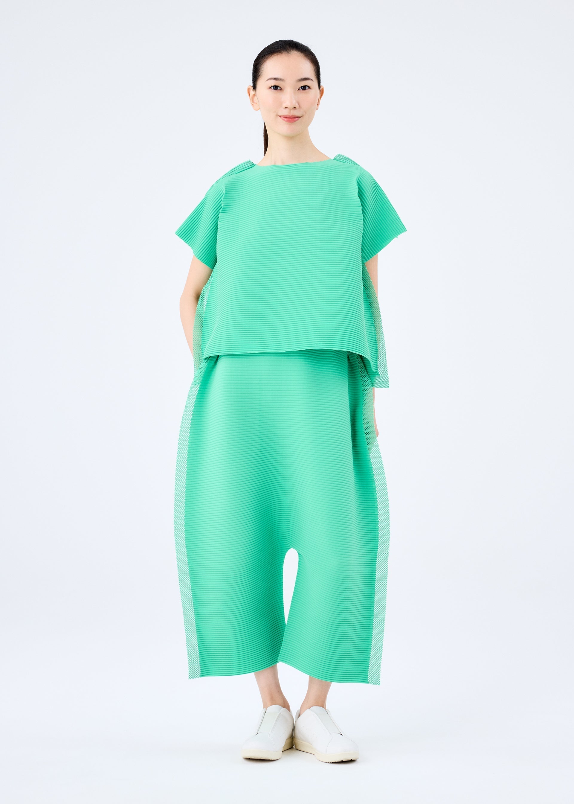 Zoomed view FRAME MESH PLEATS