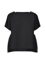 FRAME MESH PLEATS