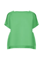 FRAME MESH PLEATS