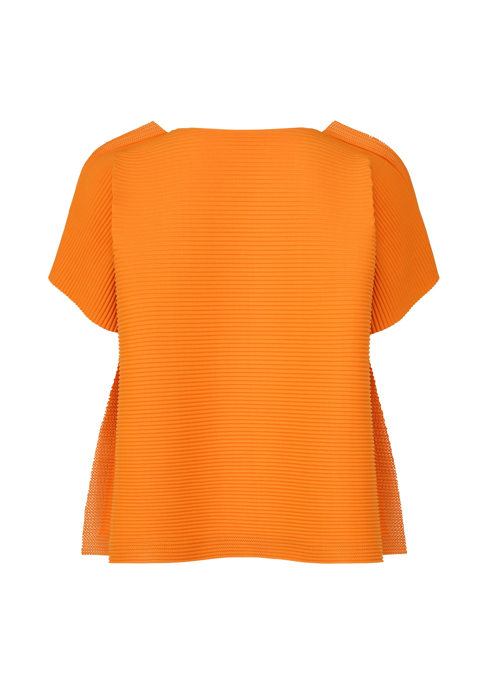 Zoomed view FRAME MESH PLEATS