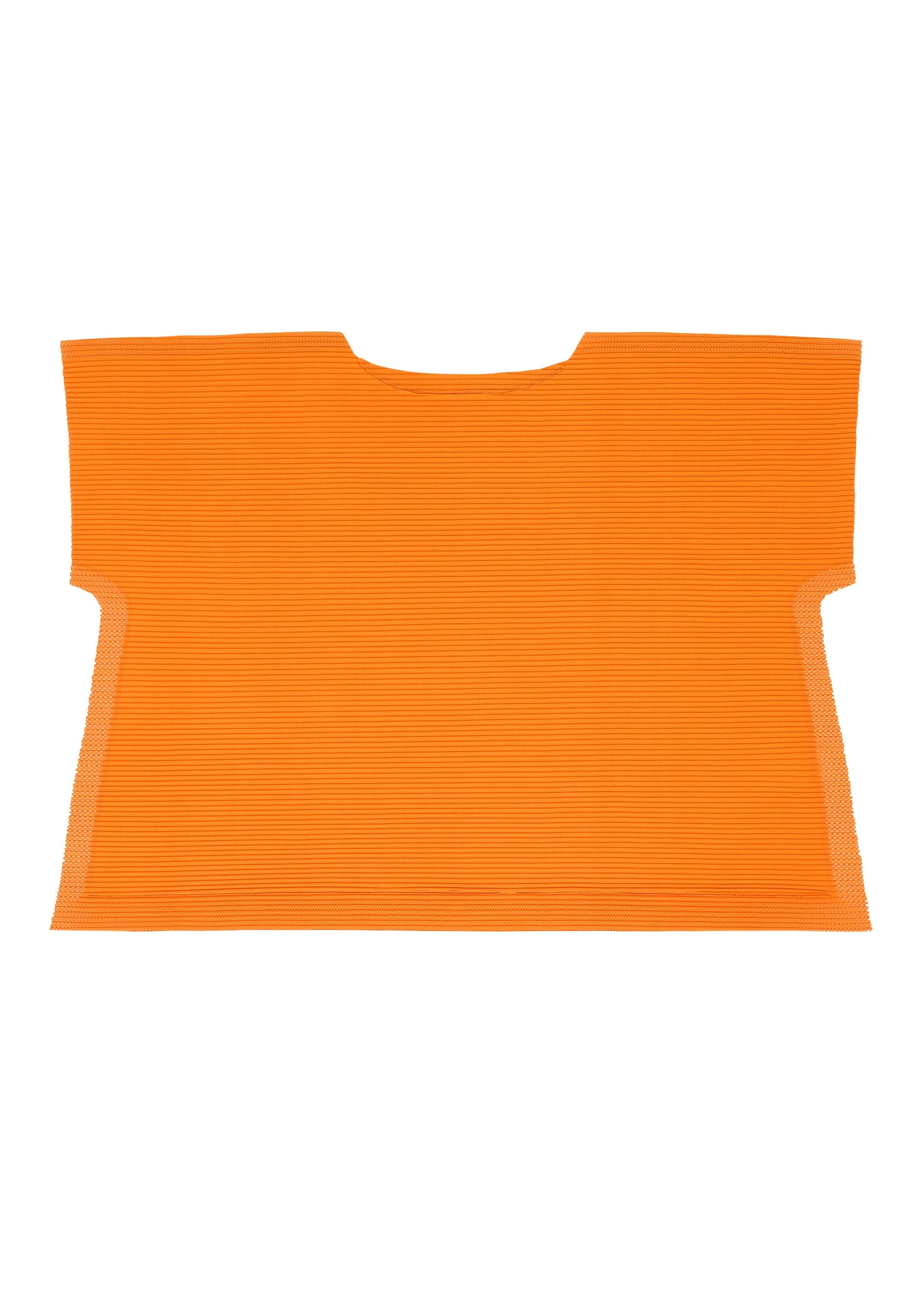 Zoomed view FRAME MESH PLEATS