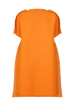 FRAME MESH PLEATS
