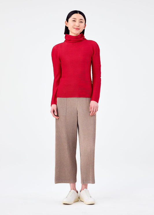 CORDUROY PLEATS view 2