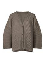 CORDUROY PLEATS