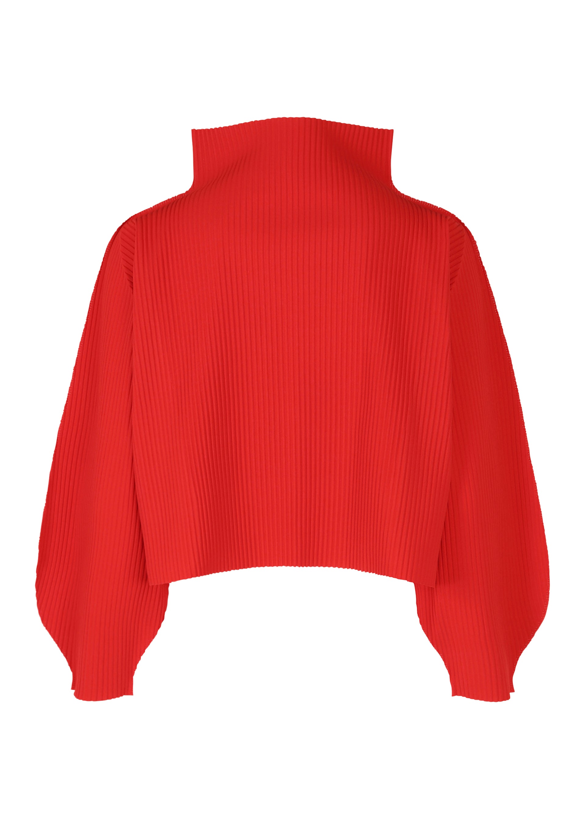Zoomed view ROUND PLEATS
