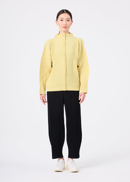 CORDUROY PLEATS view 2