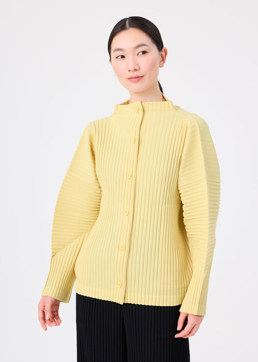 CORDUROY PLEATS view 2