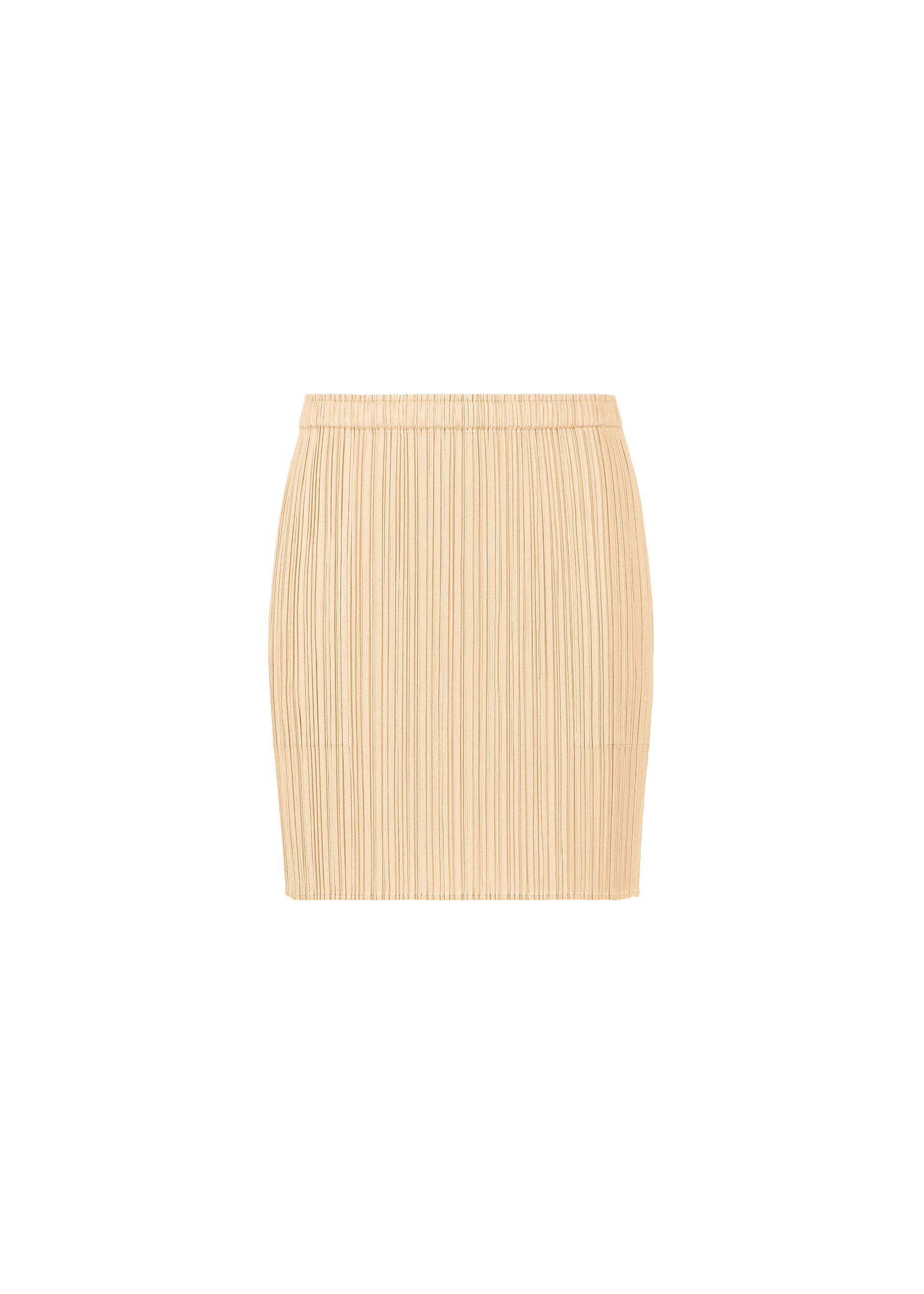 Zoomed view SOIL & LEAF - PAMPAS GRASS(no.01)
