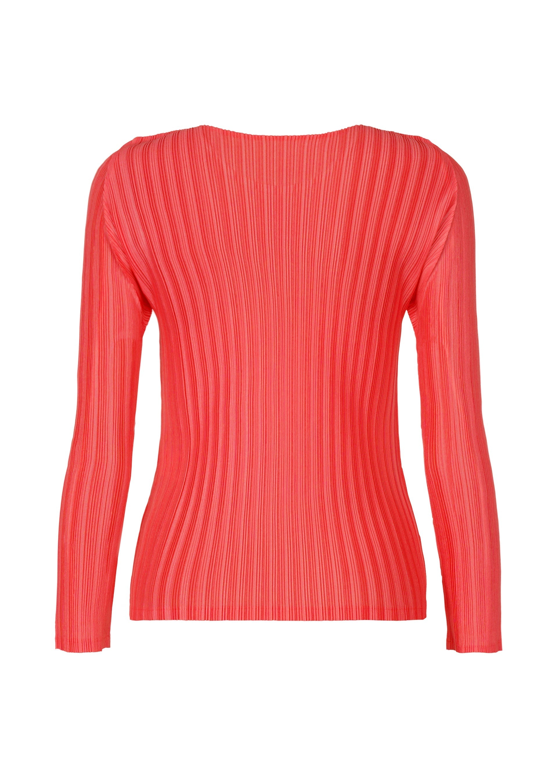 Zoomed view RIB PLEATS JANUARY