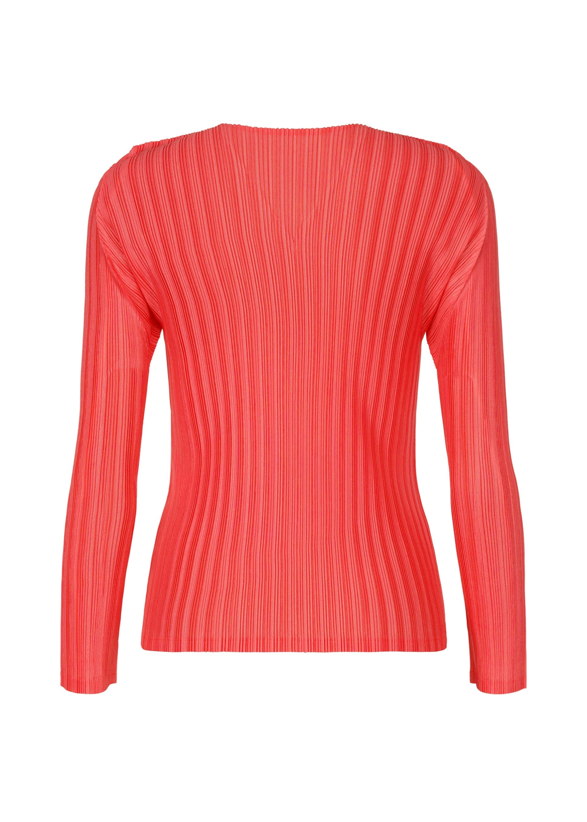 Zoomed view RIB PLEATS JANUARY