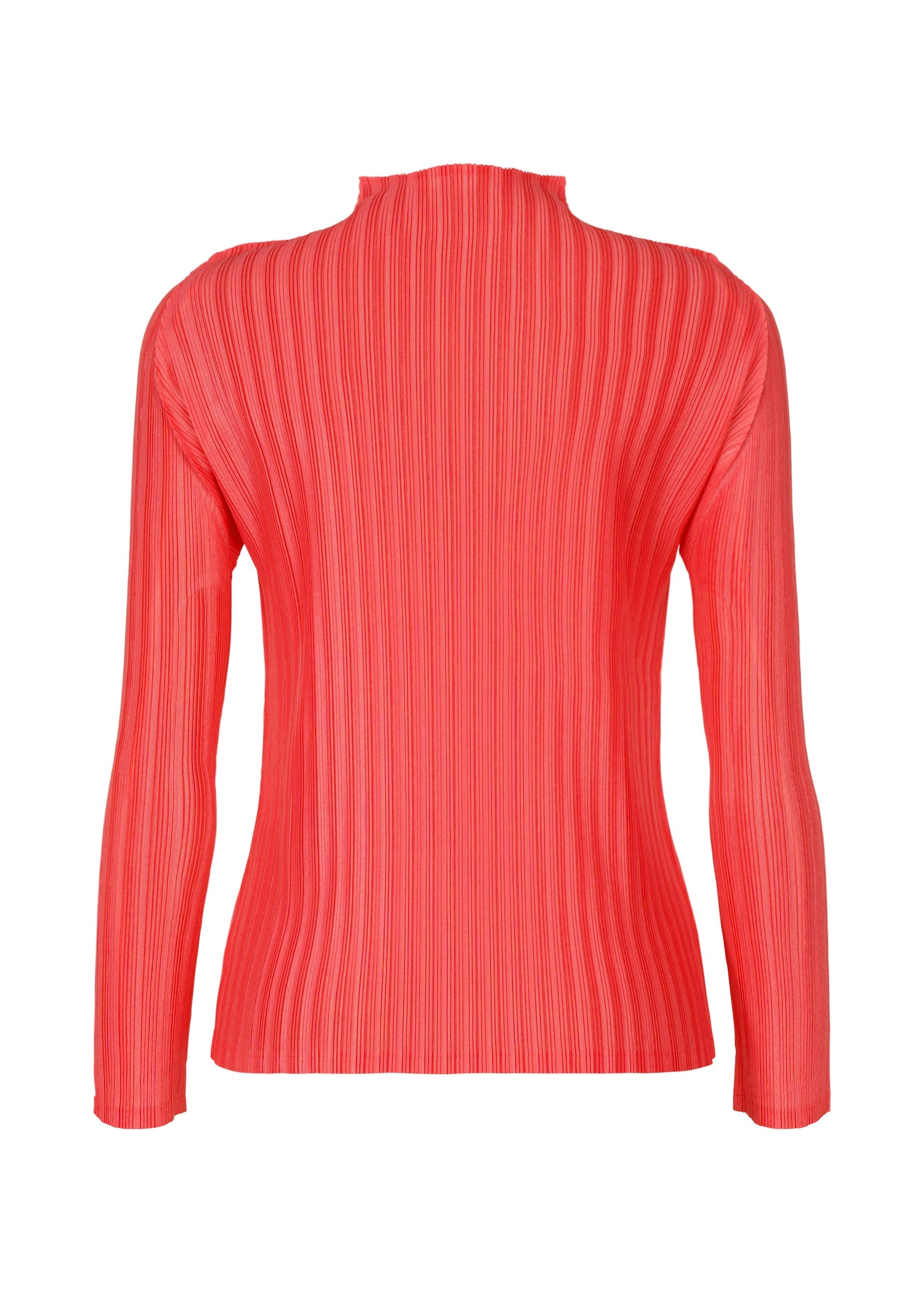 Zoomed view RIB PLEATS JANUARY
