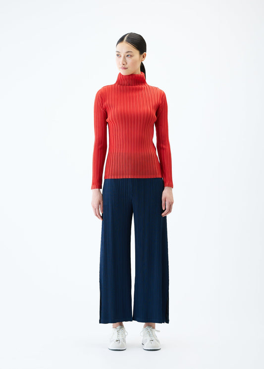 RIB PLEATS FEBRUARY view 2